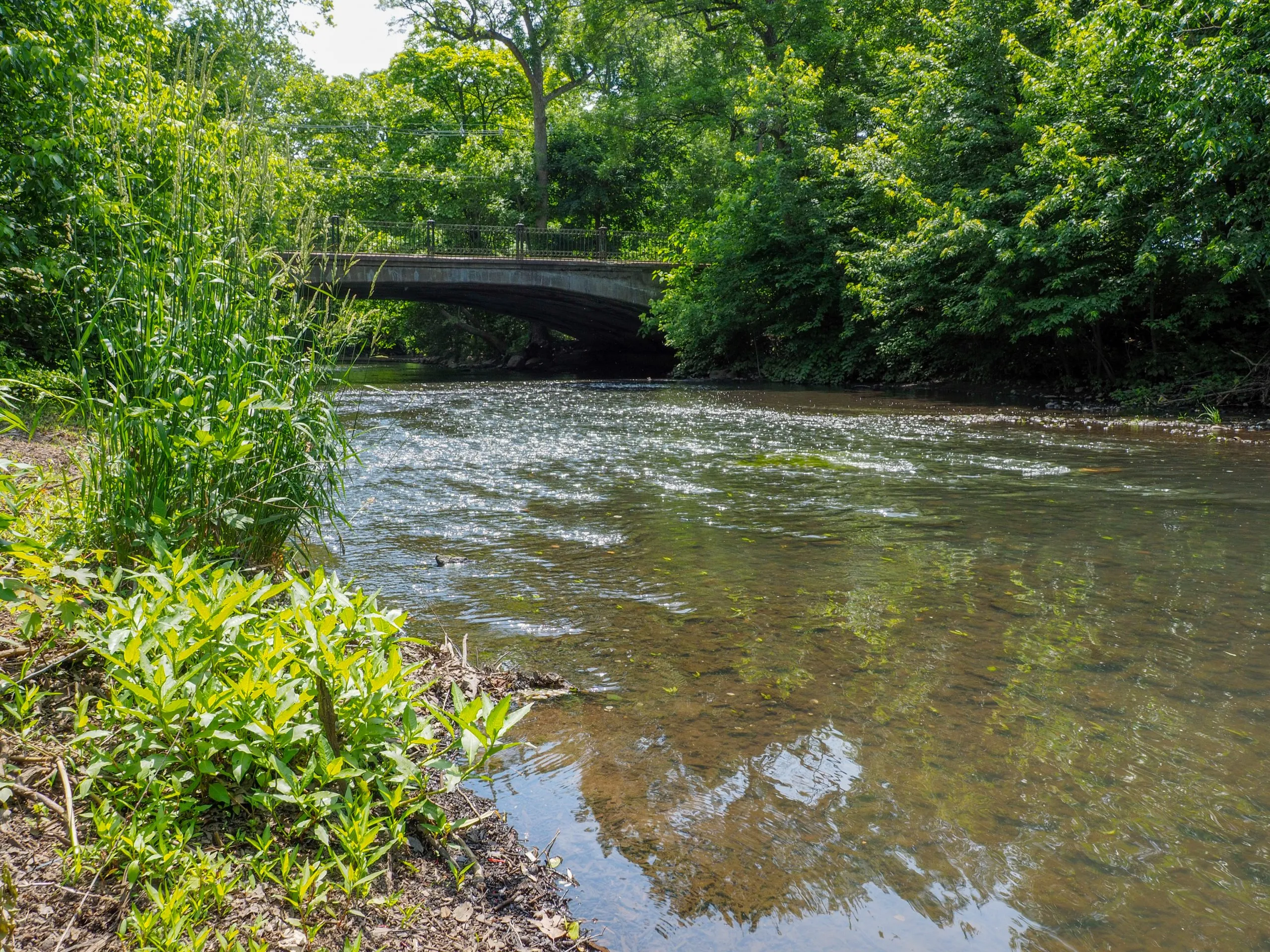 A Riverfront Nature Park in Morris County