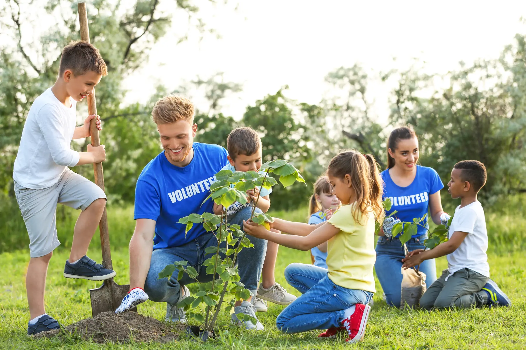 Volunteers working on planting a tree.